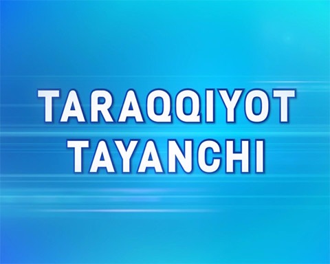 Taraqqiyot tayanchi