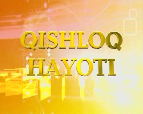 Qishloq hayoti